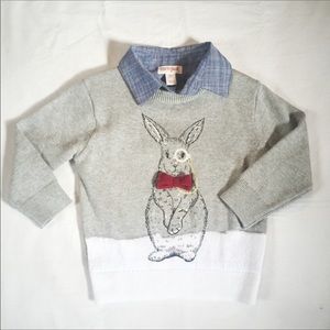 Cat and jack rabbit sweater with bowtie monocle
